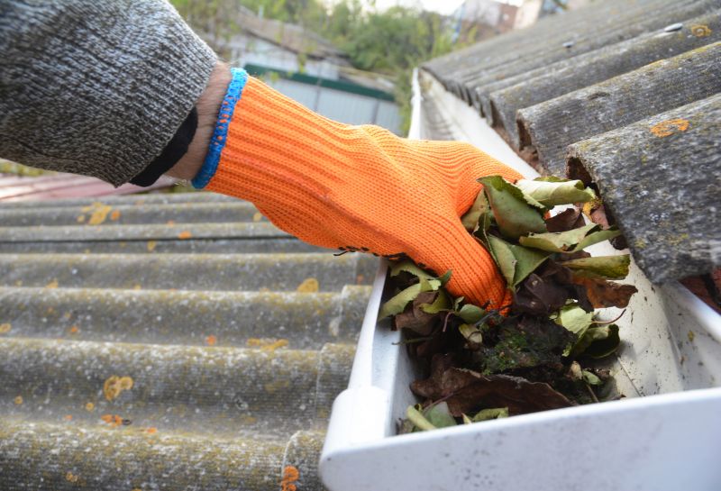 Gutter Pine Needle Removal in Richmond, VA