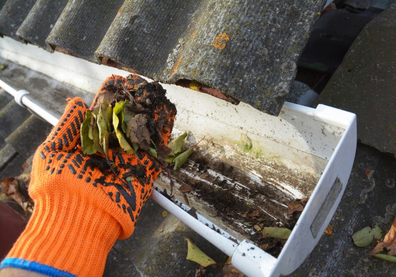 Rain Gutter Clearing in Longmont, CO